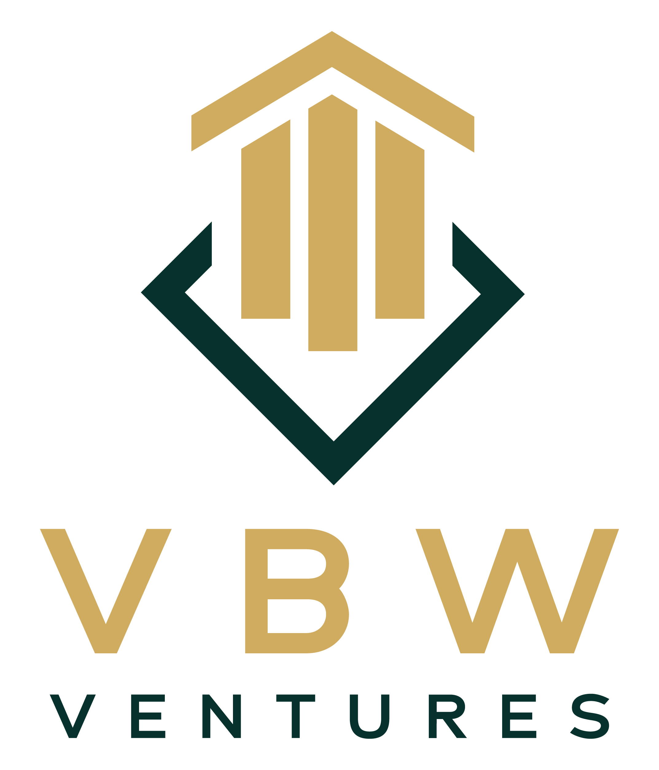 vbw ventures logo